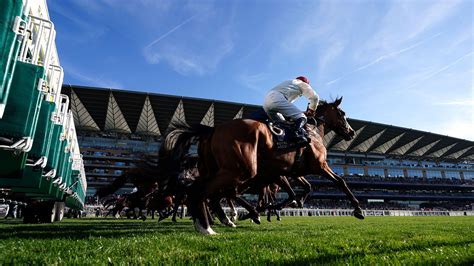 gg horse racing
